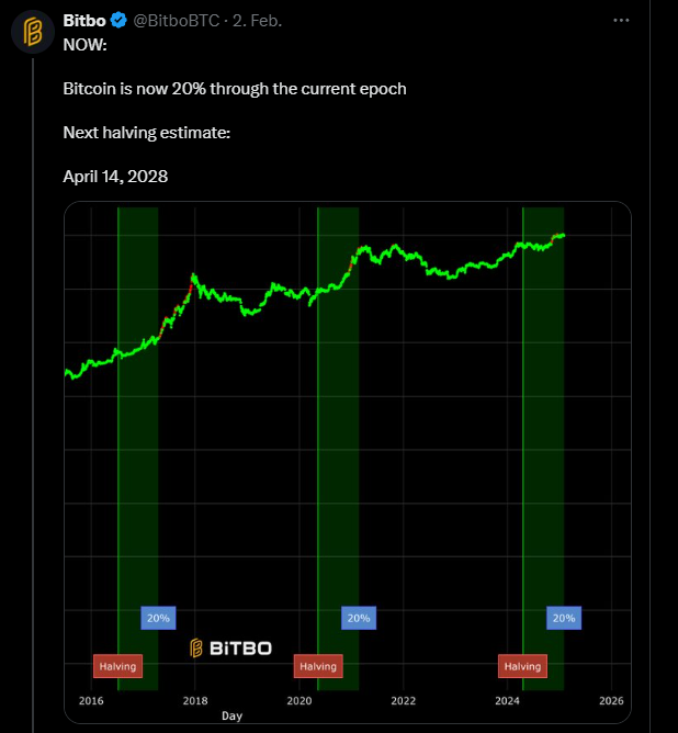 https://x.com/bitbobtc