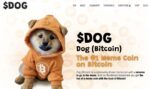 DOG/USDT Trading Pair: Ein Blick auf den Meme-Coin-Hype im Jahr 2025