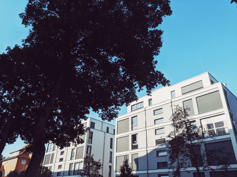 Top-Immobilienmakler in Frankfurt: Finden Sie Ihr Traumhaus mit den Besten
